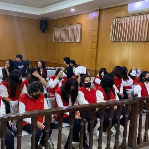 19 Terdakwa Kasus Perdagangan Bayi Indonesia-Singapura Dijatuhi Hukuman Penjara (Doc : istimewa)