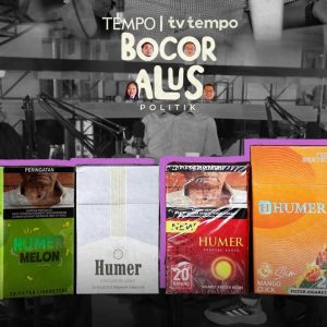 Dokumentasi Podcast Tv Tempo Rokok Ilegal (Dok: Istimewa)