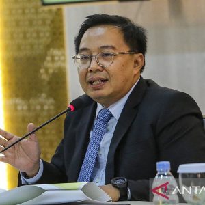 Anggota BPK Bobby Adhityo Rizaldi (Dok: Antara)