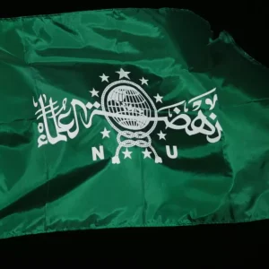 Logo Nahdlatul Ulama (Dok: Istimewa)