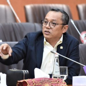 Anggota Komisi II DPR RI Deddy Sitorus (Dok: Monitor)